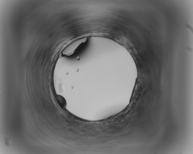 X0000097880001200804041624