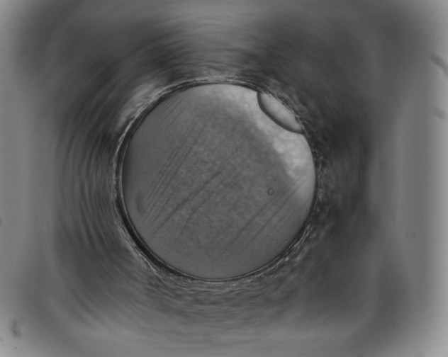 X0000097880002200804041624