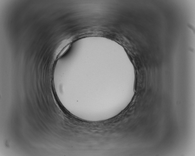 X0000097880003200804041624