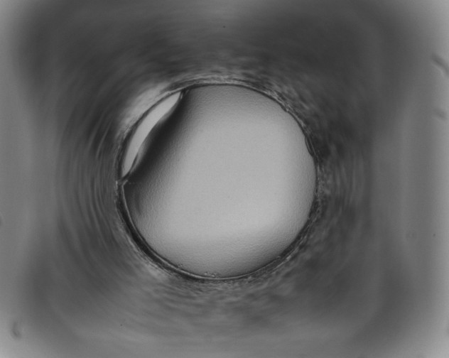 X0000097880005200804041624