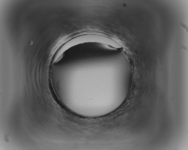 X0000097880007200804041624