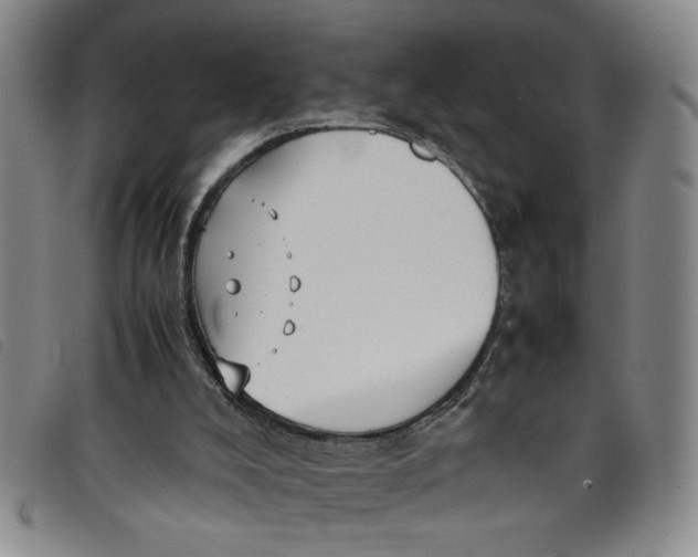 X0000097880008200804041624