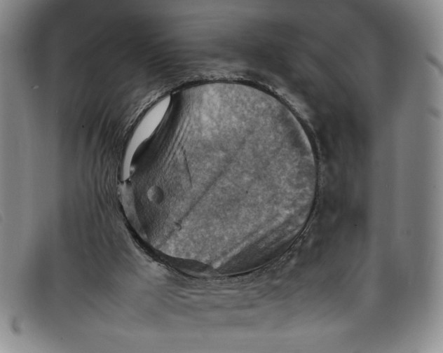 X0000097880009200804041624