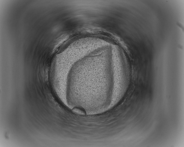 X0000097880010200804041624