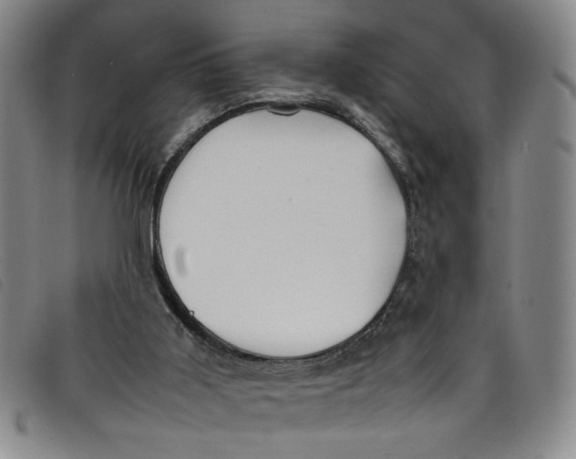 X0000097880011200804041624