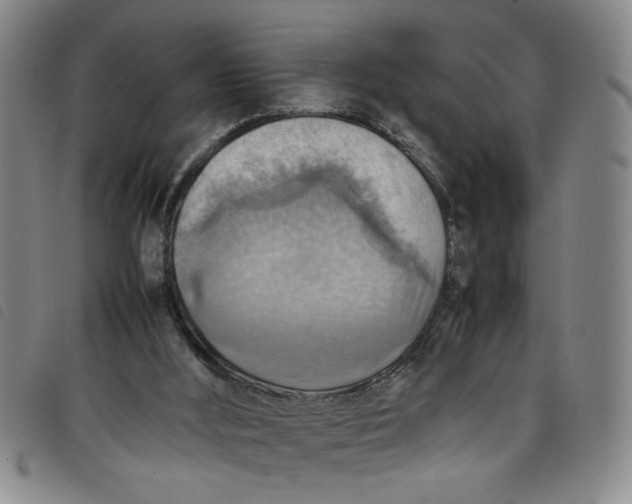 X0000097880012200804041624