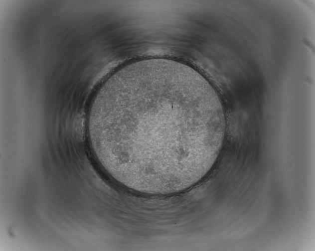 X0000097880016200804041624