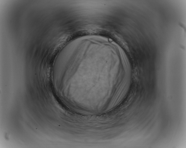 X0000097880018200804041624