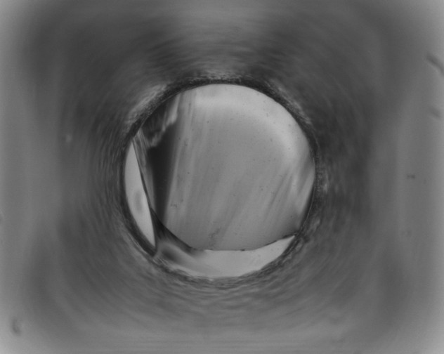 X0000097880019200804041624