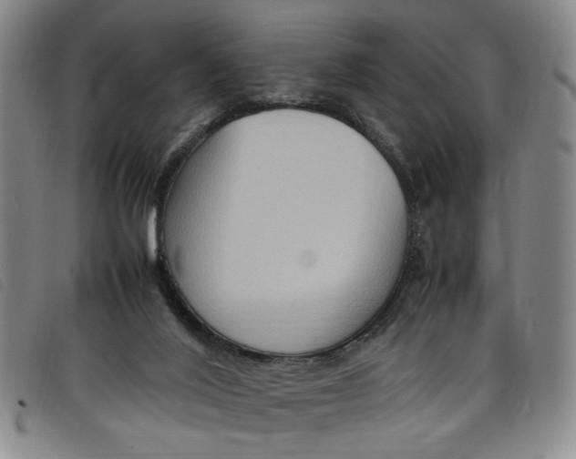 X0000097880020200804041624