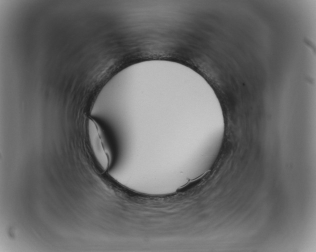 X0000097880021200804041624