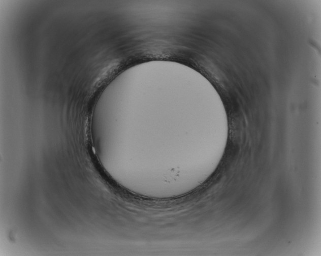 X0000097880023200804041624