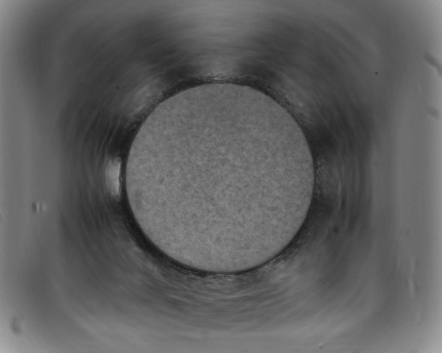 X0000097880024200804041624