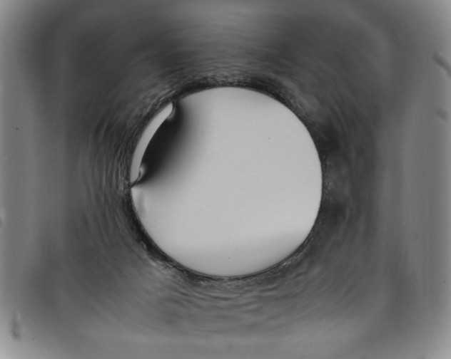 X0000097880025200804041624