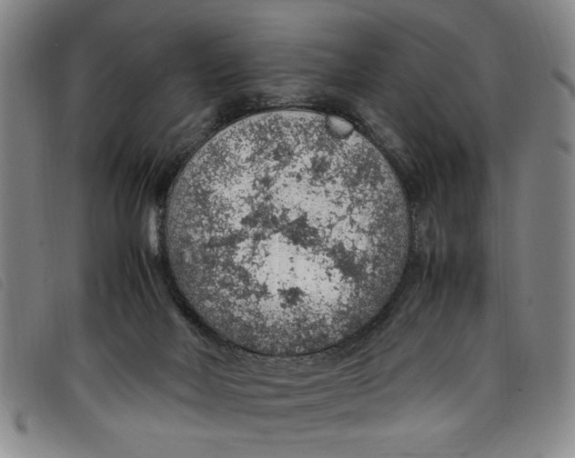 X0000097880026200804041624