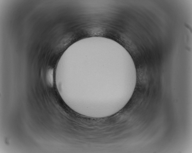 X0000097880028200804041624