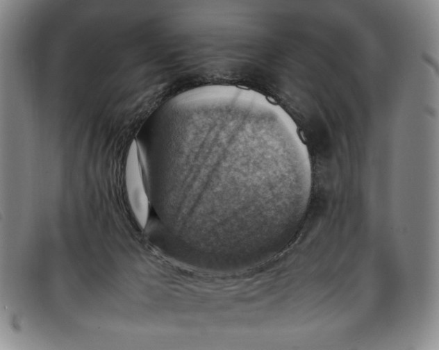 X0000097880029200804041624