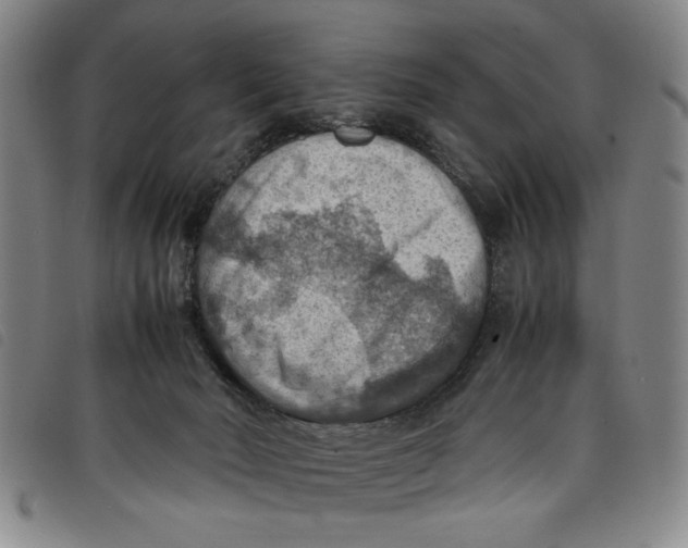 X0000097880030200804041624