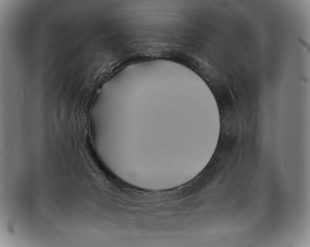 X0000097880031200804041624