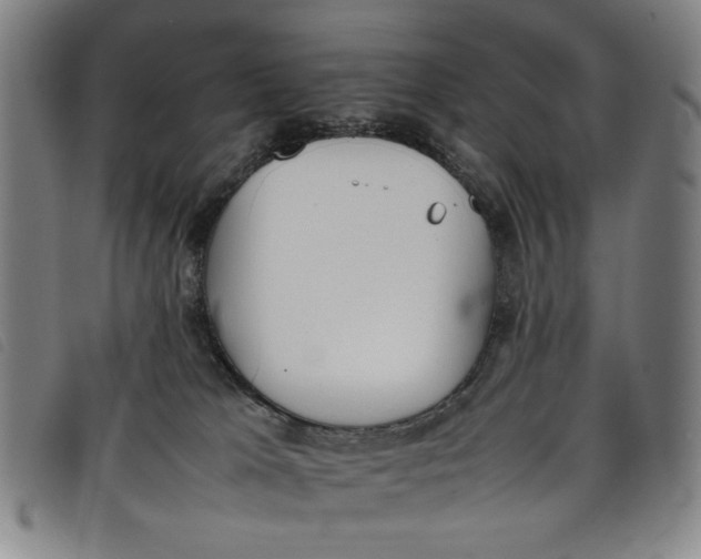 X0000097880037200804041624