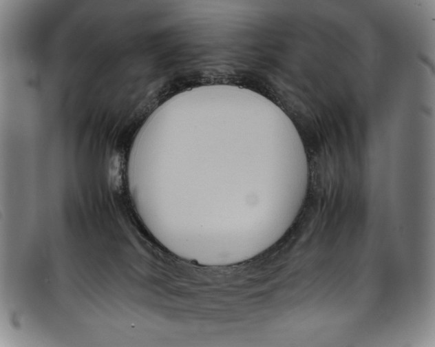 X0000097880038200804041624