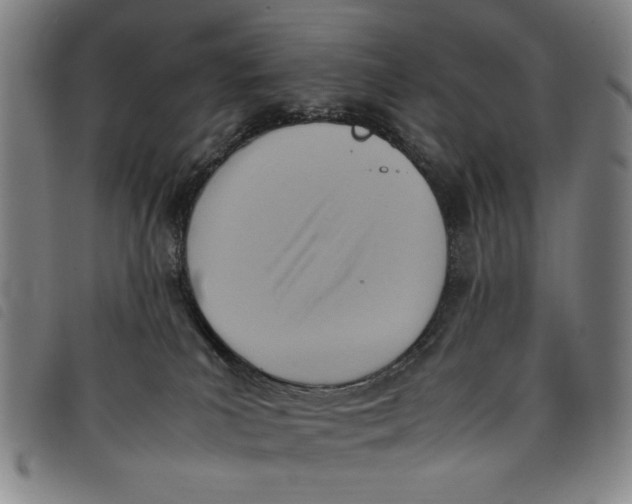 X0000097880039200804041624