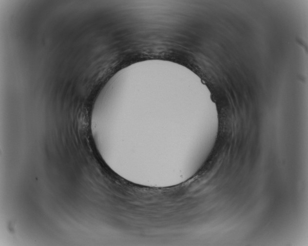 X0000097880040200804041624