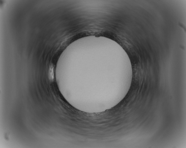 X0000097880042200804041624