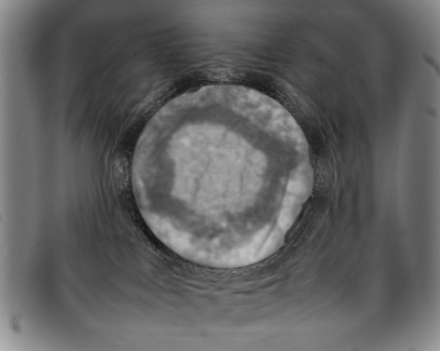 X0000097880043200804041623