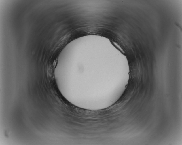 X0000097880044200804041623