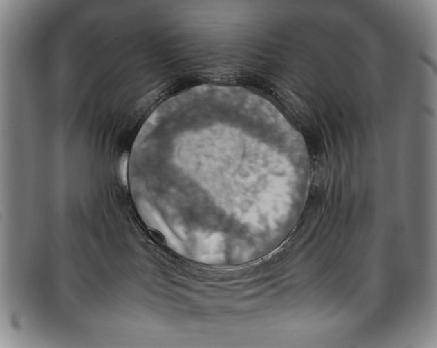 X0000097880047200804041623