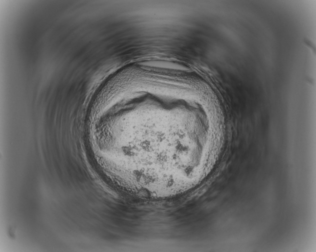 X0000097880049200804041623