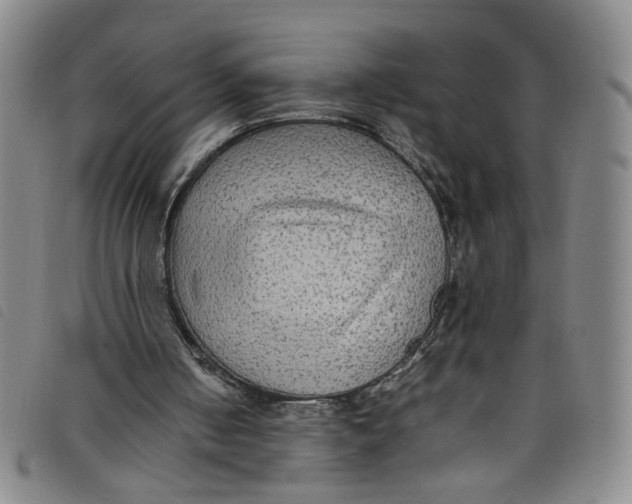 X0000097880050200804041623