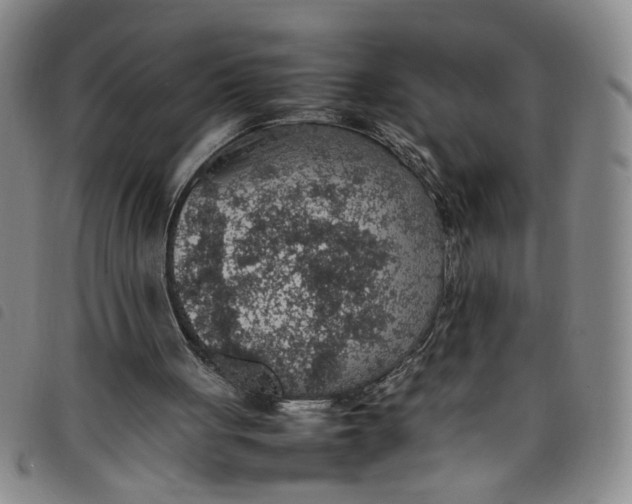 X0000097880051200804041623