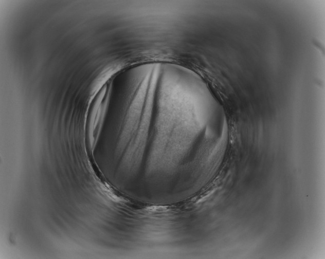 X0000097880052200804041623