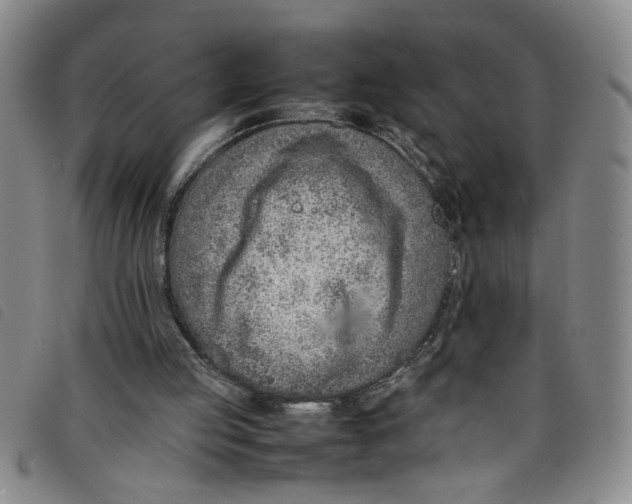 X0000097880053200804041623