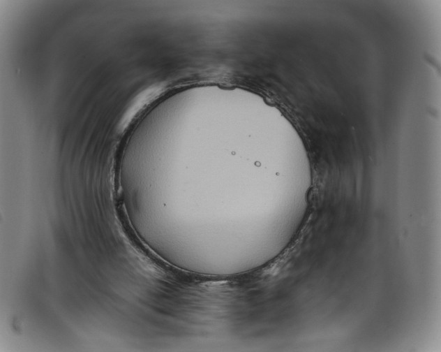 X0000097880054200804041623