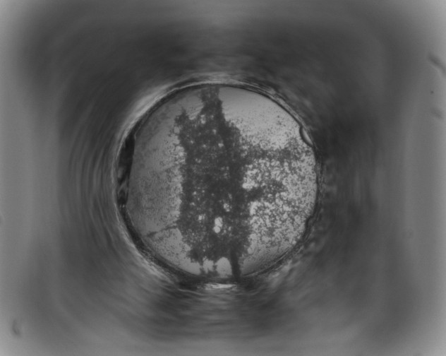 X0000097880055200804041623