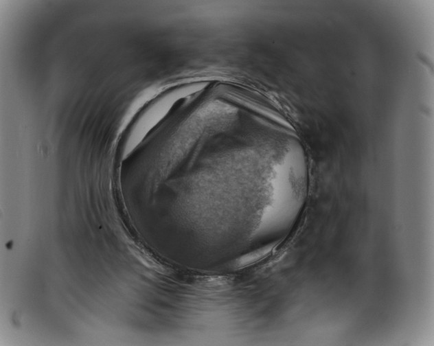 X0000097880056200804041623