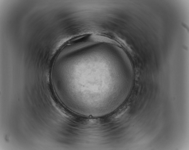 X0000097880060200804041623