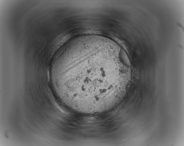 X0000097880061200804041623