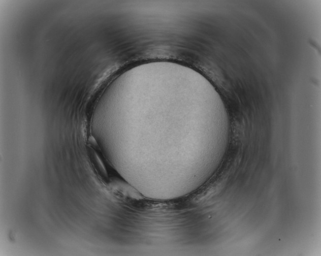 X0000097880064200804041623