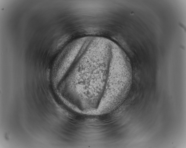 X0000097880066200804041623