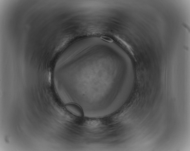 X0000097880067200804041623