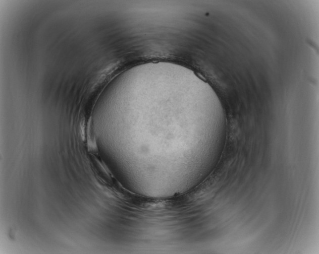 X0000097880068200804041623