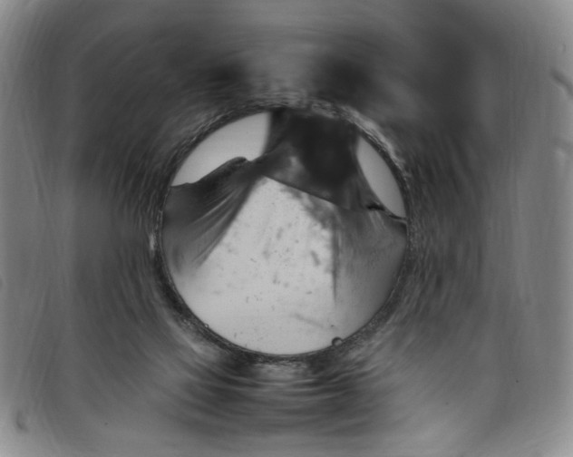 X0000097880069200804041623