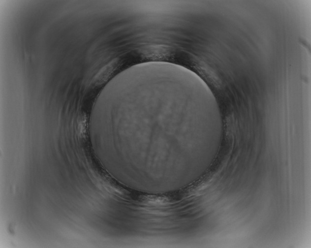 X0000097880073200804041623