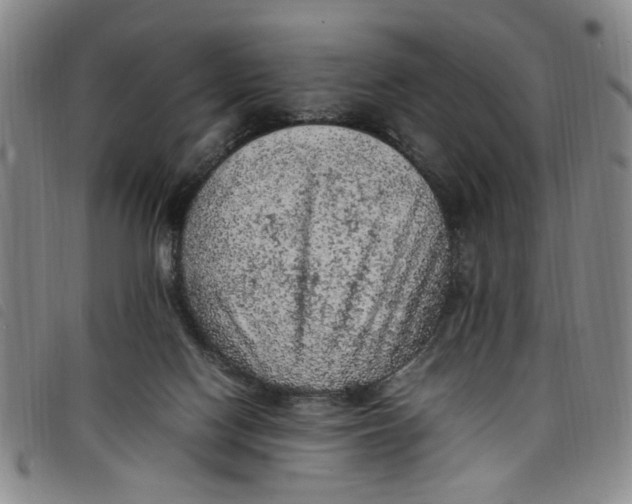 X0000097880074200804041623