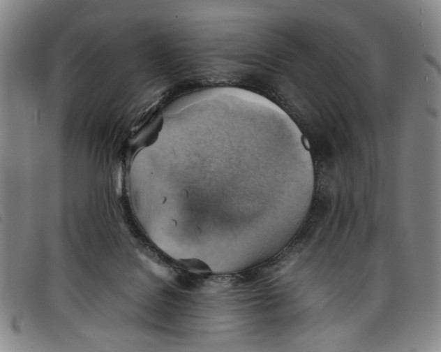 X0000097880076200804041623