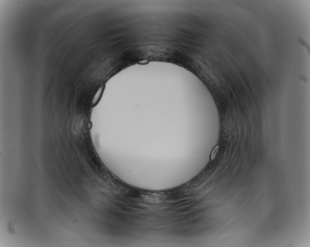 X0000097880079200804041623